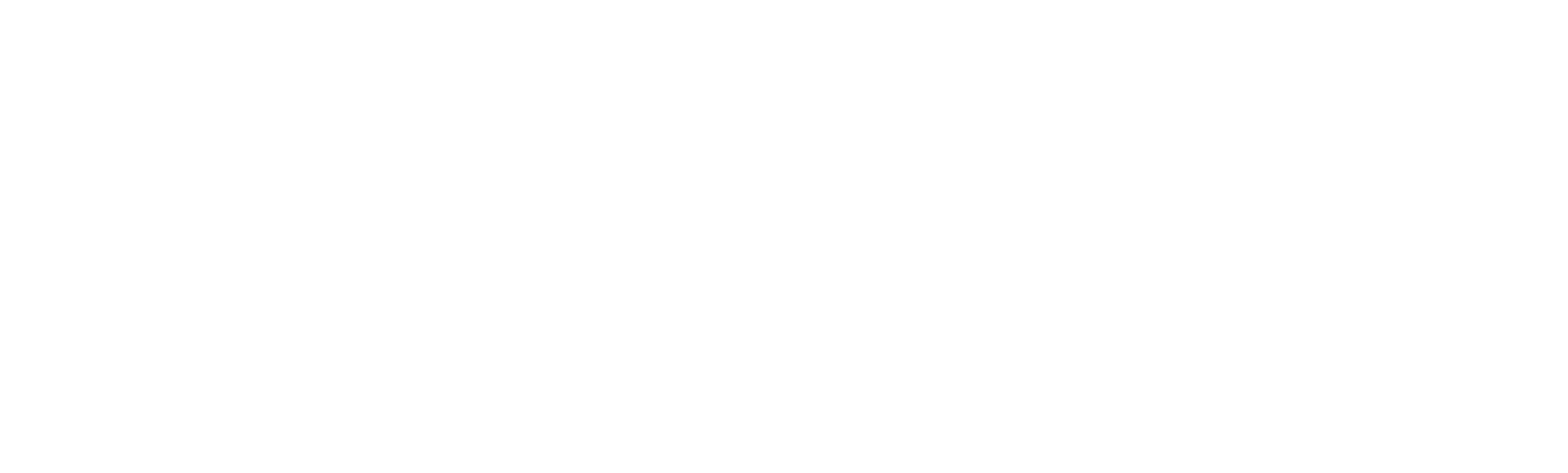 Dra. Carolina Schwartz Dal Piva, Cirurgiã Digestiva